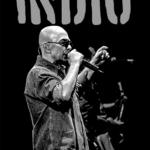 Diseño 47