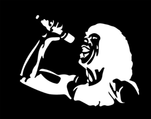 gustavo cerati (copia)